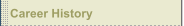 Career History